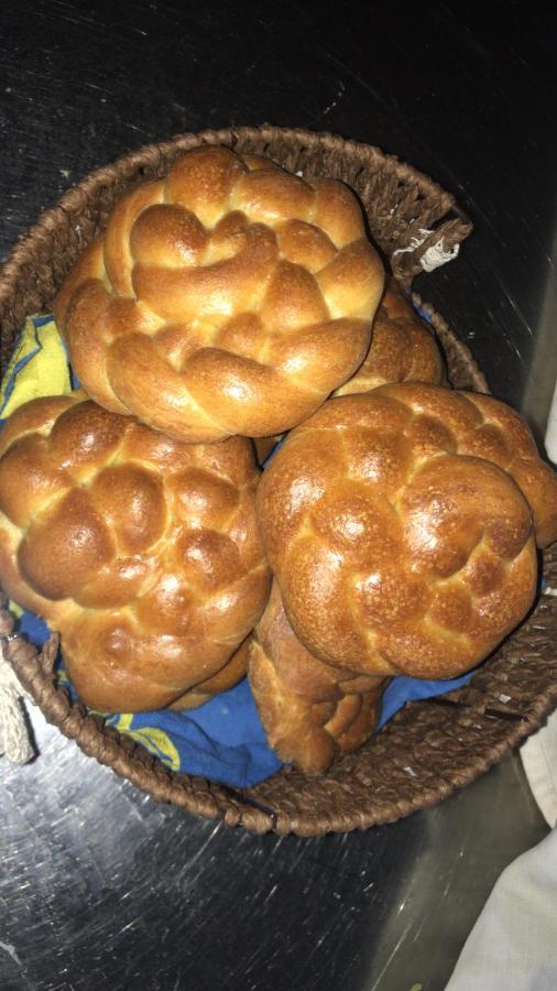 San Rocco Panzió Mesola Kültér fotó