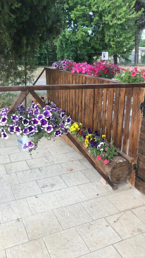 San Rocco Panzió Mesola Kültér fotó